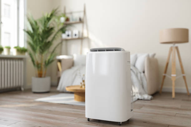 Best Ductless Mini-Split Systems in Cisco, TX